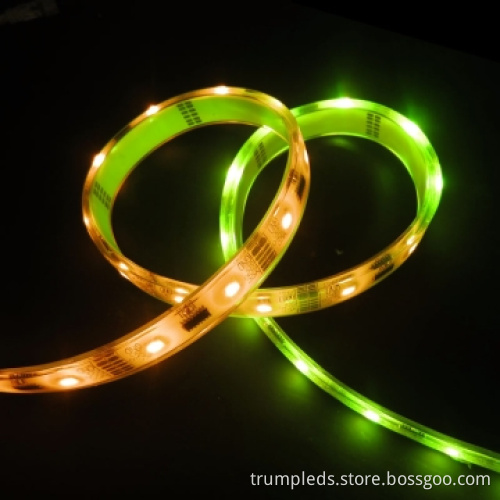 2012 Ws2801 12V 5050 Flexible LED Strip Light Waterproof